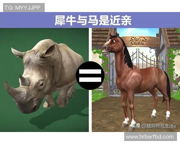 马与人类的千年对话与共生关系探讨